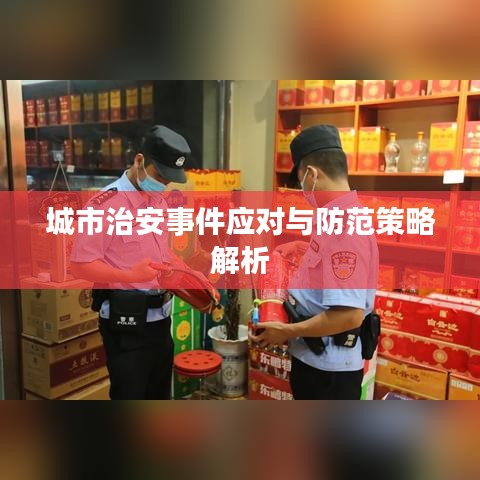 城市治安事件应对与防范策略解析