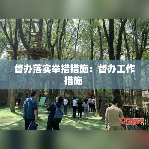 督办落实举措措施：督办工作措施 