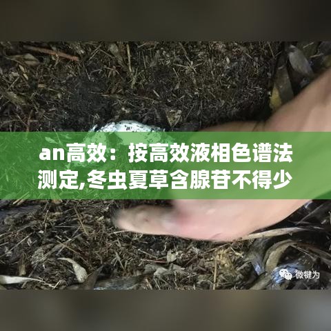 an高效：按高效液相色谱法测定,冬虫夏草含腺苷不得少于 