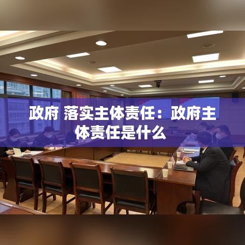 政府 落实主体责任：政府主体责任是什么 