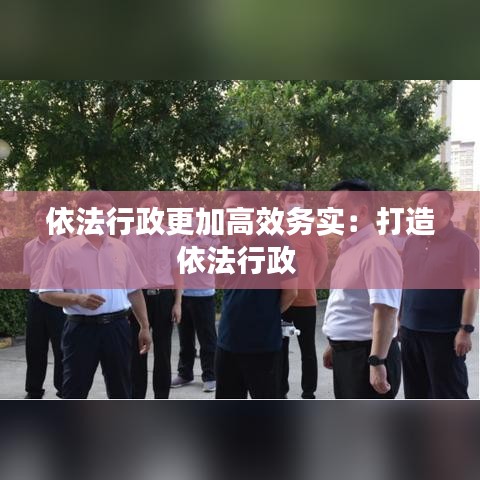 依法行政更加高效务实：打造依法行政 