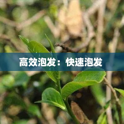 高效泡发：快速泡发 