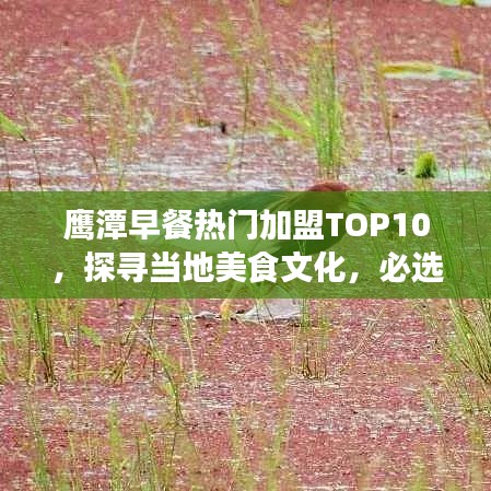 鹰潭早餐热门加盟TOP10，探寻当地美食文化，必选上榜之选