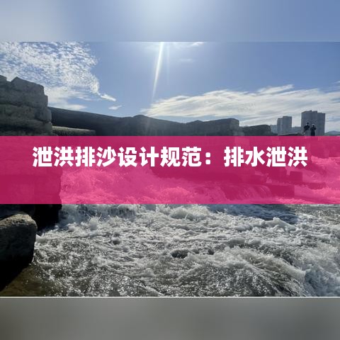 泄洪排沙设计规范：排水泄洪 