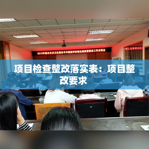 项目检查整改落实表：项目整改要求 