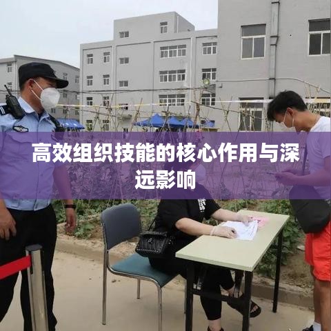 高效组织技能的核心作用与深远影响