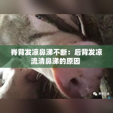 脊背发凉鼻涕不断：后背发凉流清鼻涕的原因 