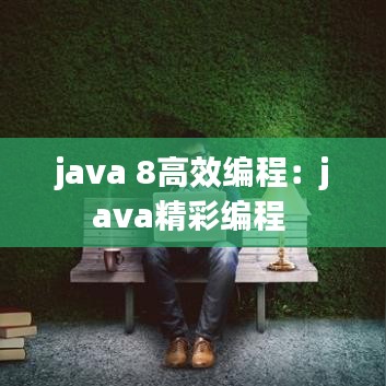 java 8高效编程：java精彩编程 