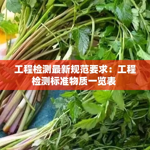 工程检测最新规范要求：工程检测标准物质一览表 