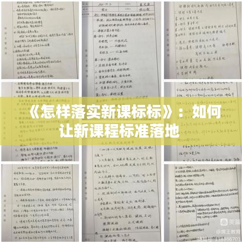 《怎样落实新课标标》：如何让新课程标准落地 