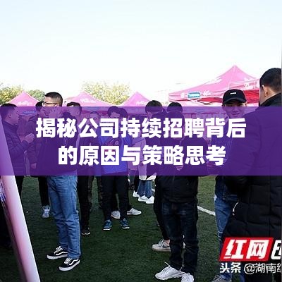 揭秘公司持续招聘背后的原因与策略思考