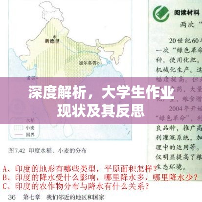 深度解析，大学生作业现状及其反思