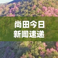 尚田今日新闻速递，最新报道抢先看！