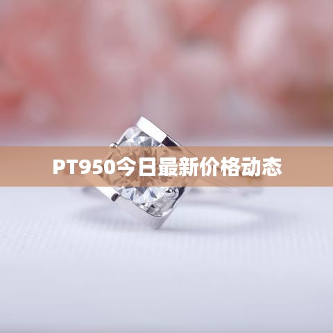 PT950今日最新价格动态