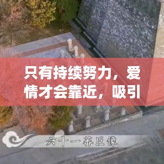 只有持续努力，爱情才会靠近，吸引力法则的力量