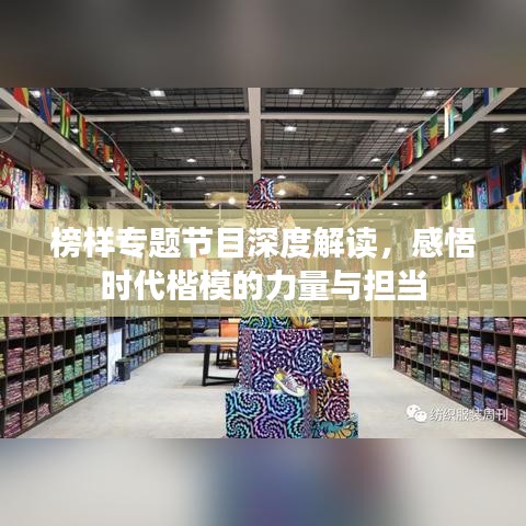 榜样专题节目深度解读，感悟时代楷模的力量与担当