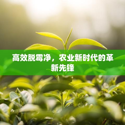 高效脱霉净，农业新时代的革新先锋