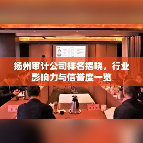 扬州审计公司排名揭晓，行业影响力与信誉度一览