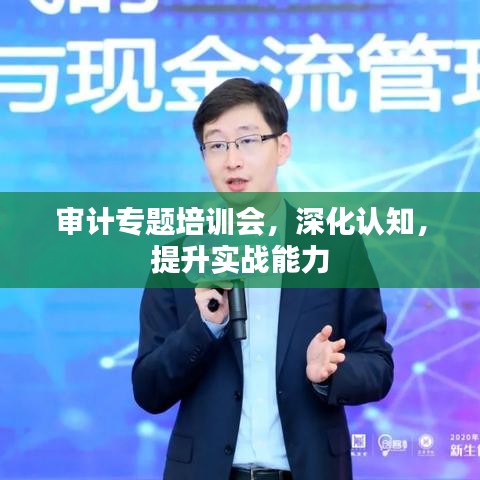 审计专题培训会，深化认知，提升实战能力