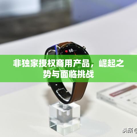 非独家授权商用产品，崛起之势与面临挑战