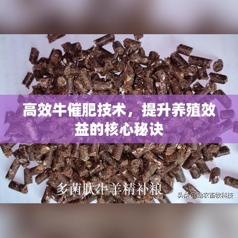 高效牛催肥技术，提升养殖效益的核心秘诀