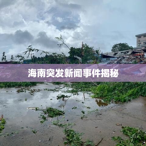 海南突发新闻事件揭秘