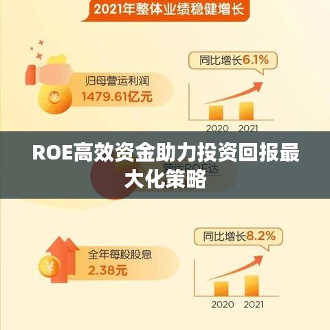 ROE高效资金助力投资回报最大化策略