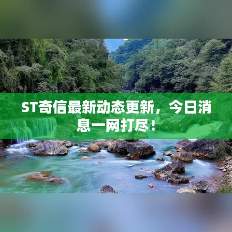 ST奇信最新动态更新，今日消息一网打尽！