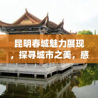 昆明春城魅力展现，探寻城市之美，感受春城风采！