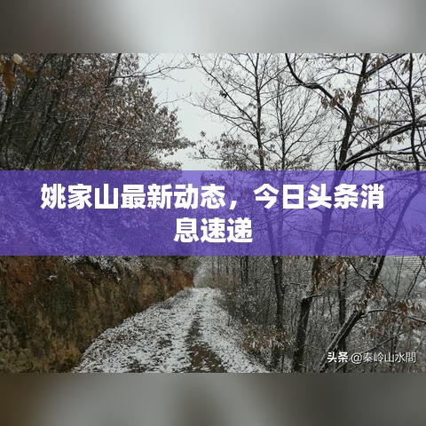 姚家山最新动态，今日头条消息速递