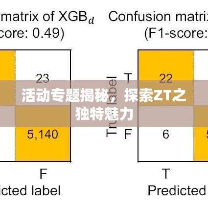 活动专题揭秘，探索ZT之独特魅力