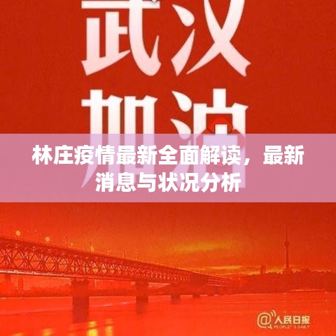 林庄疫情最新全面解读，最新消息与状况分析