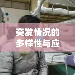 突发情况的多样性与应对策略解析