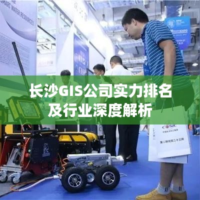 长沙GIS公司实力排名及行业深度解析