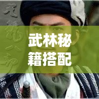 武林秘籍搭配攻略，最新指南助你成为武林高手！