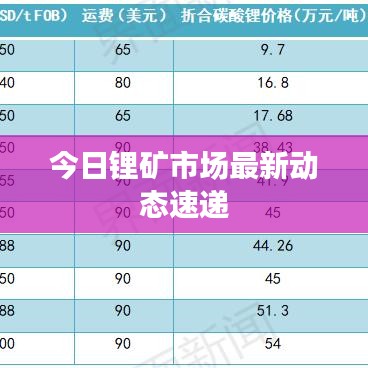 今日锂矿市场最新动态速递