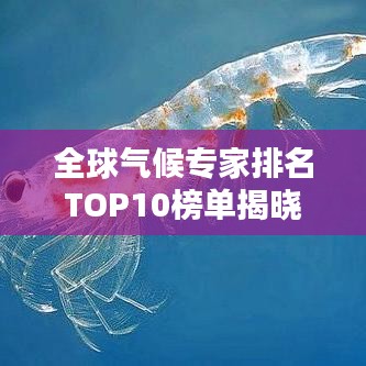 全球气候专家排名TOP10榜单揭晓