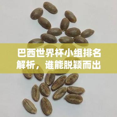 巴西世界杯小组排名解析，谁能脱颖而出？