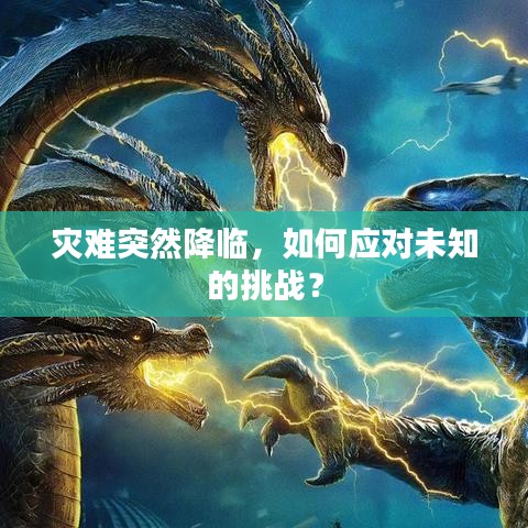灾难突然降临，如何应对未知的挑战？