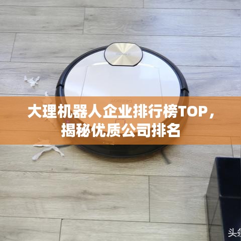 大理机器人企业排行榜TOP，揭秘优质公司排名