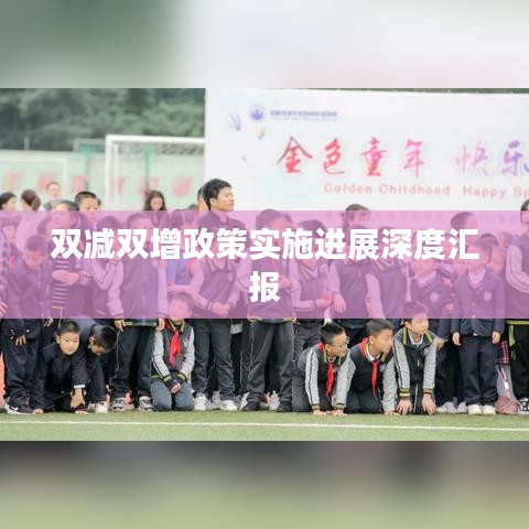 双减双增政策实施进展深度汇报