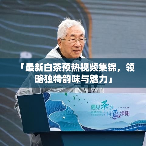 「最新白茶预热视频集锦，领略独特韵味与魅力」