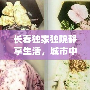 长春独家独院静享生活，城市中的私密角落出租
