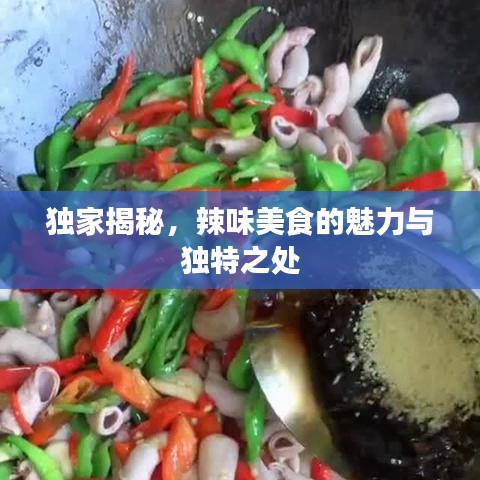 独家揭秘，辣味美食的魅力与独特之处
