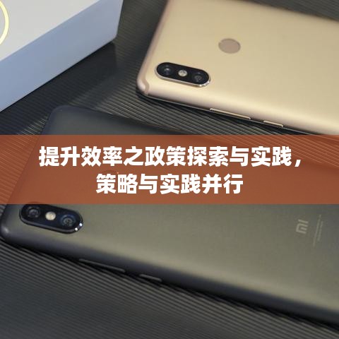 提升效率之政策探索与实践，策略与实践并行