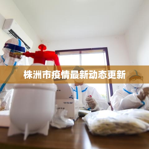 株洲市疫情最新动态更新