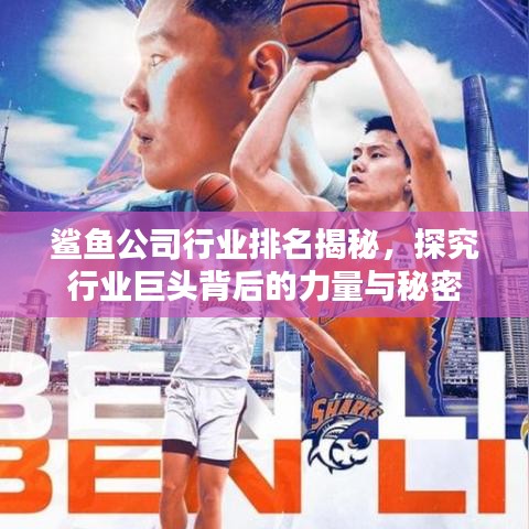 鲨鱼公司行业排名揭秘，探究行业巨头背后的力量与秘密