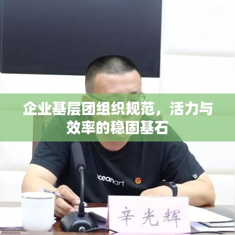 企业基层团组织规范，活力与效率的稳固基石