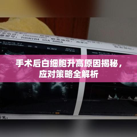 手术后白细胞升高原因揭秘，应对策略全解析