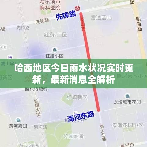 哈西地区今日雨水状况实时更新，最新消息全解析